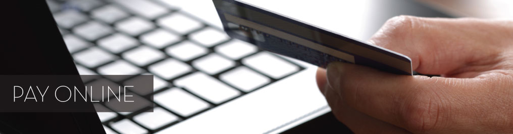 payonline1