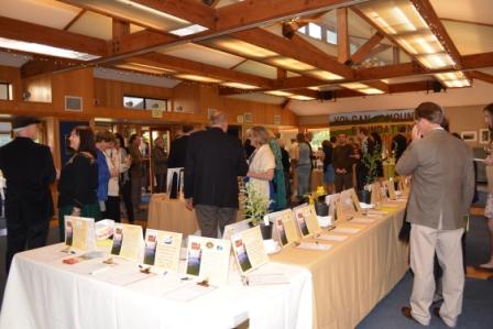 guestsenjoythevmf2014silentauction-photobyaudreysmithwebcompressed